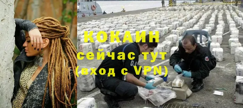 Cocaine Fish Scale  магазин продажи наркотиков  Буй 